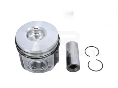 7.54665 Piston, complete with rings