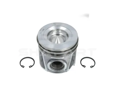 7.54668 Piston, complete with rings