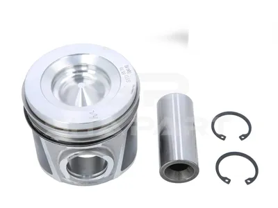 7.54670 Piston, complete with rings