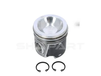7.54672 Piston, complete with rings