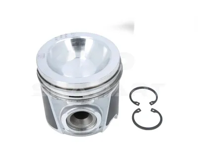 7.54673 Piston, complete with rings