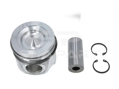 7.54677 Piston, complete with rings