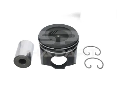 7.54679 Piston, complete with rings