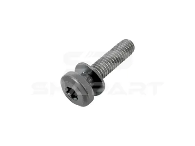7.59195 Screw, oil pump