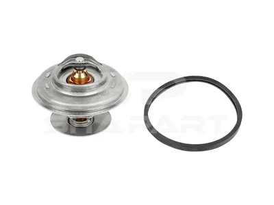 7.60213 Thermostat, 79 °C