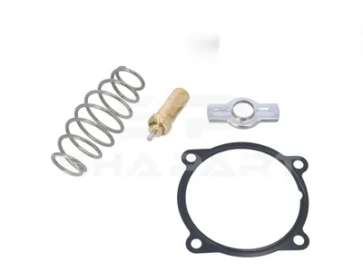 7.60219 Repair kit, thermostat, 79 °C