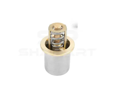 7.60225 Thermostat, 82 °C