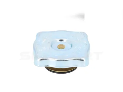 7.79142 Cap, expansion tank
