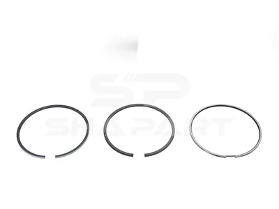 7.94503 Piston ring kit