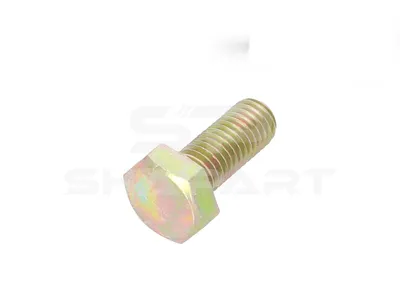 9.02006 Screw, M10, SW: 17, L: 25 mm, 8.8, DIN 933
