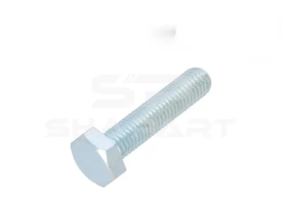 9.02051 Screw, M10, SW: 17, L: 45 mm, 8.8, DIN 933