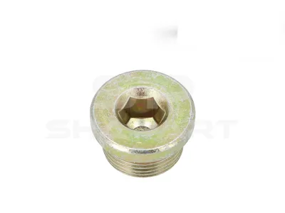 9.29010 Screw plug, M22 x 1,5, L: 18 mm