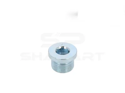 9.29011 Screw plug, M20 x 1,5