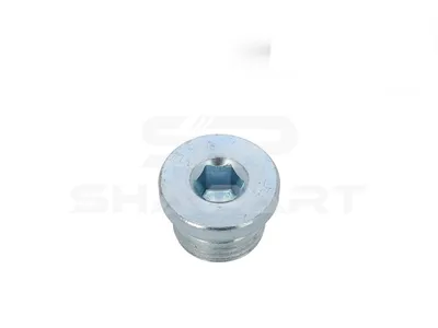 9.29020 Screw plug, M18 x 1,5, DIN 908