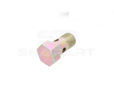 9.75006 Hollow screw, M10 x 1, LTh: 8.5 mm, L: 49 mm